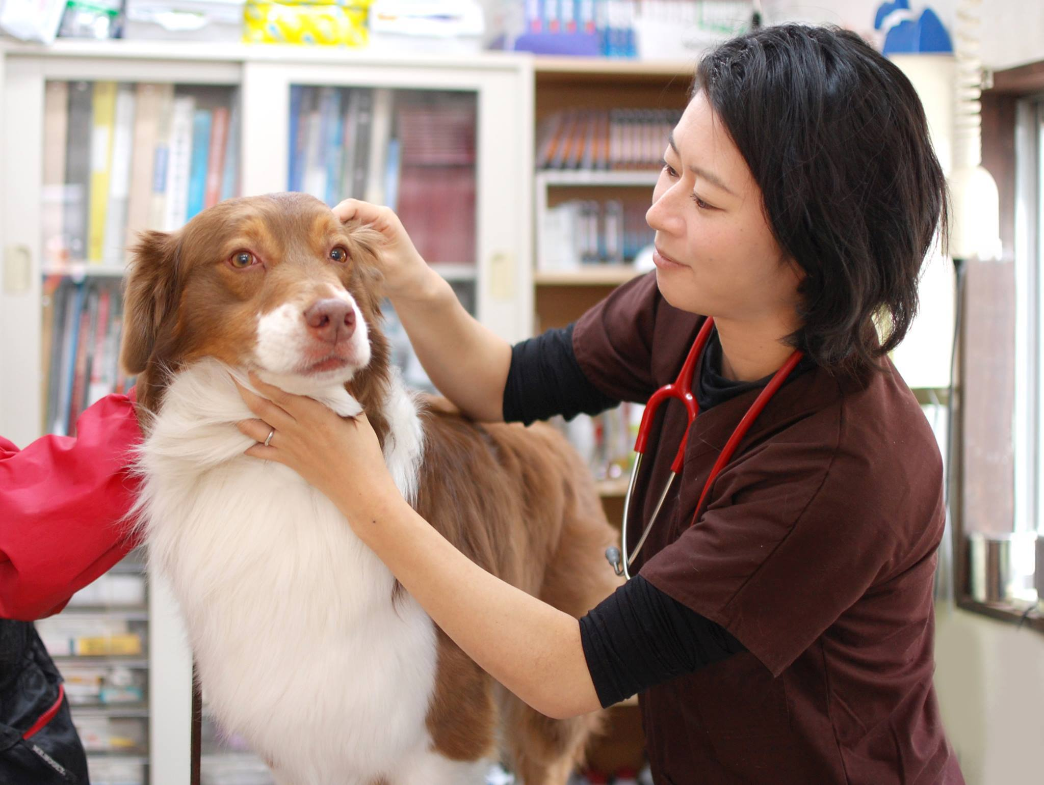 北林 麻琴院長 北林 麻琴院長