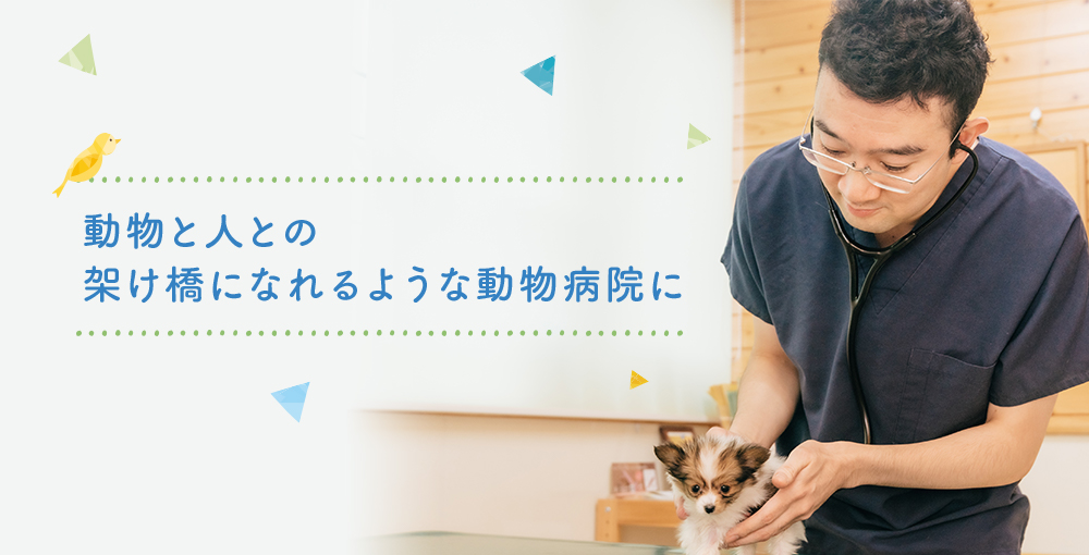 永松 航太院長 永松 航太院長