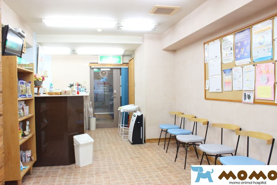 MOMO動物病院 MOMO動物病院