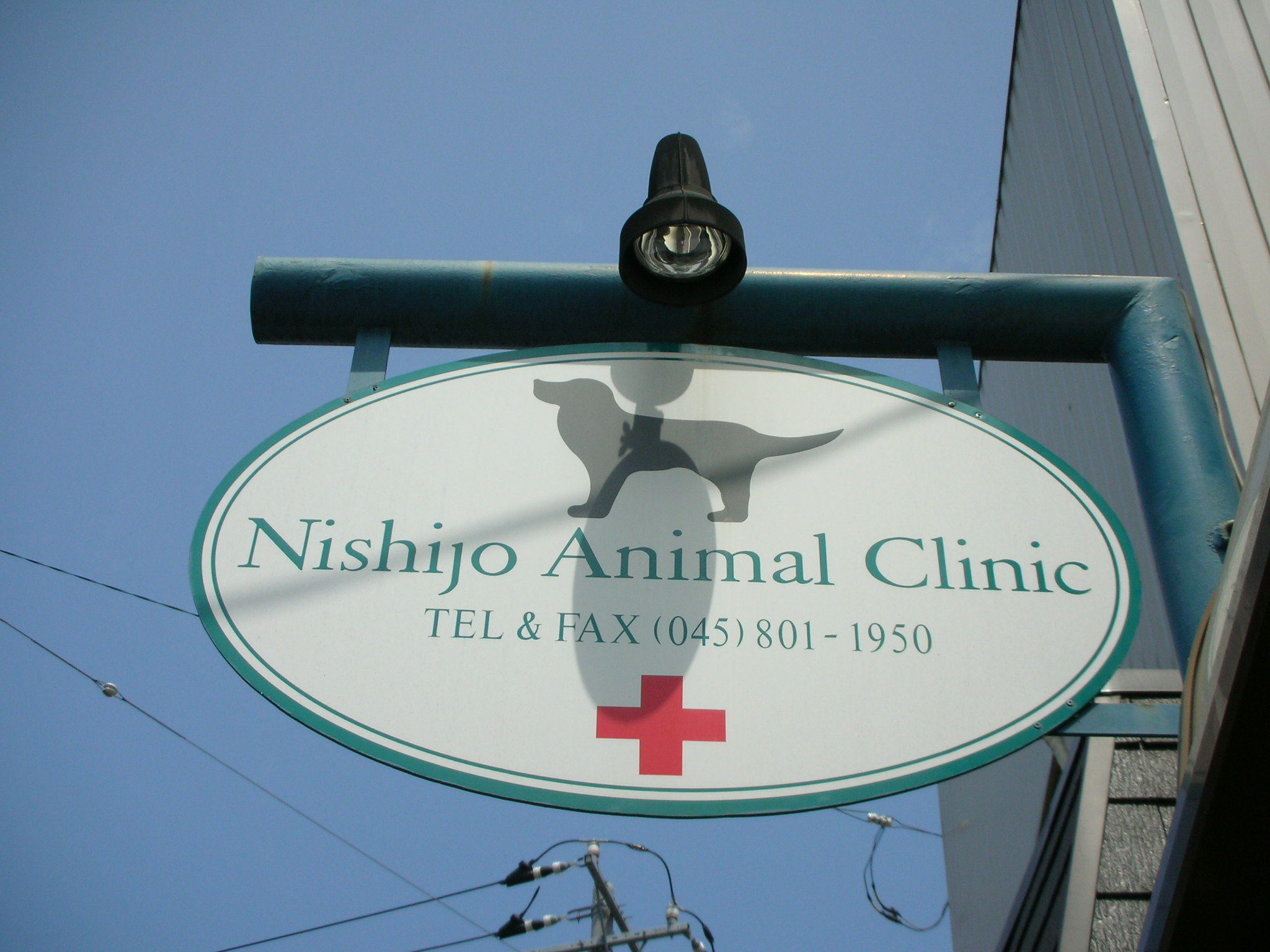 西條アニマルクリニック 西條アニマルクリニック