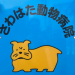 さわはた動物病院