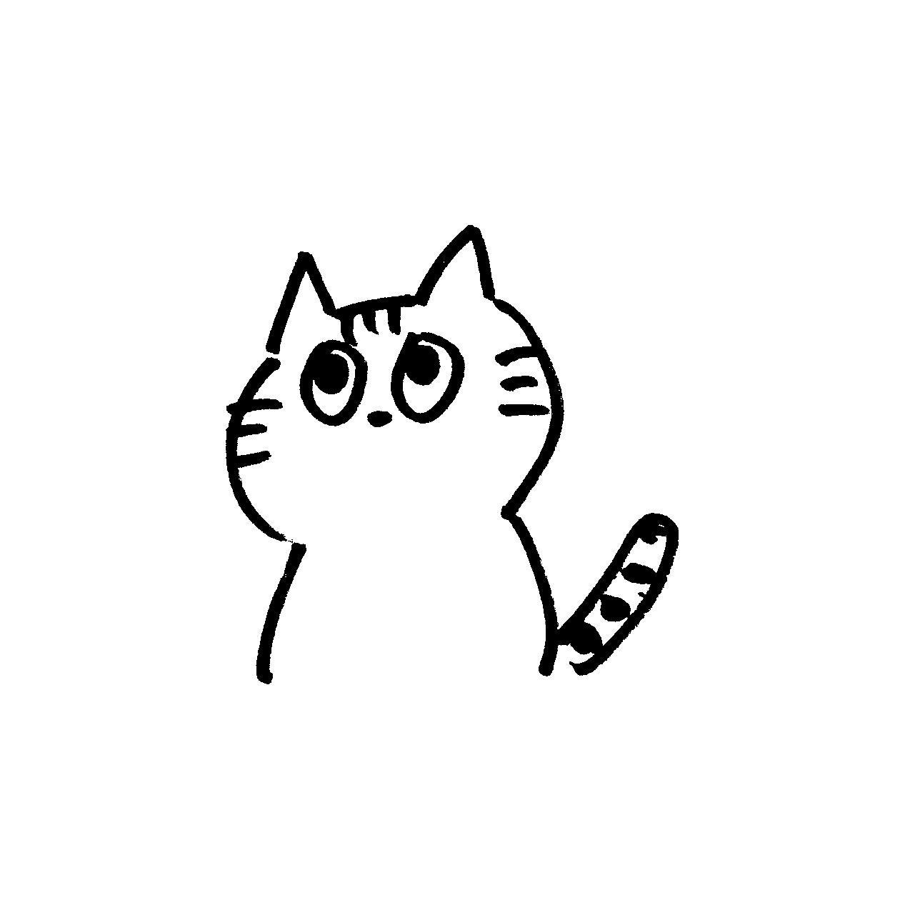 カシェットどうぶつ病院 カシェットどうぶつ病院