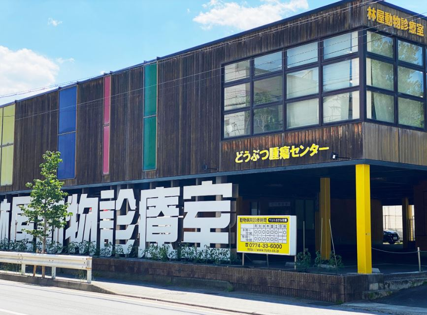 林屋動物診療室 総合医療センター 林屋動物診療室 総合医療センター