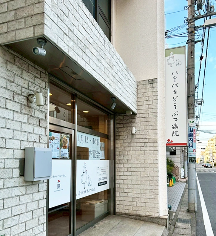 八千代台どうぶつ病院 八千代台どうぶつ病院