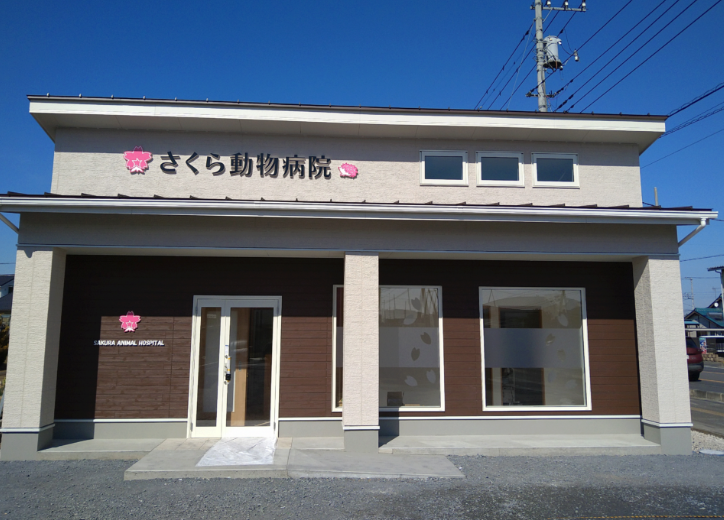 さくら動物病院 さくら動物病院