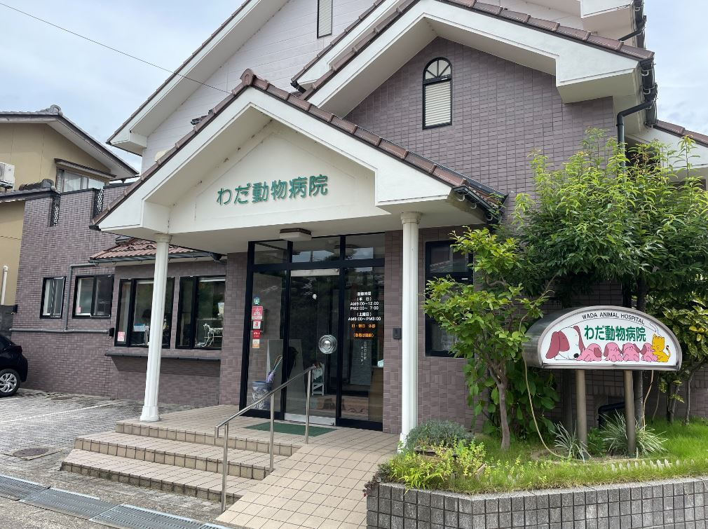 わだ動物病院 わだ動物病院