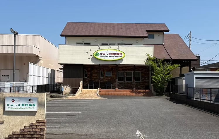 かみしま動物病院 かみしま動物病院