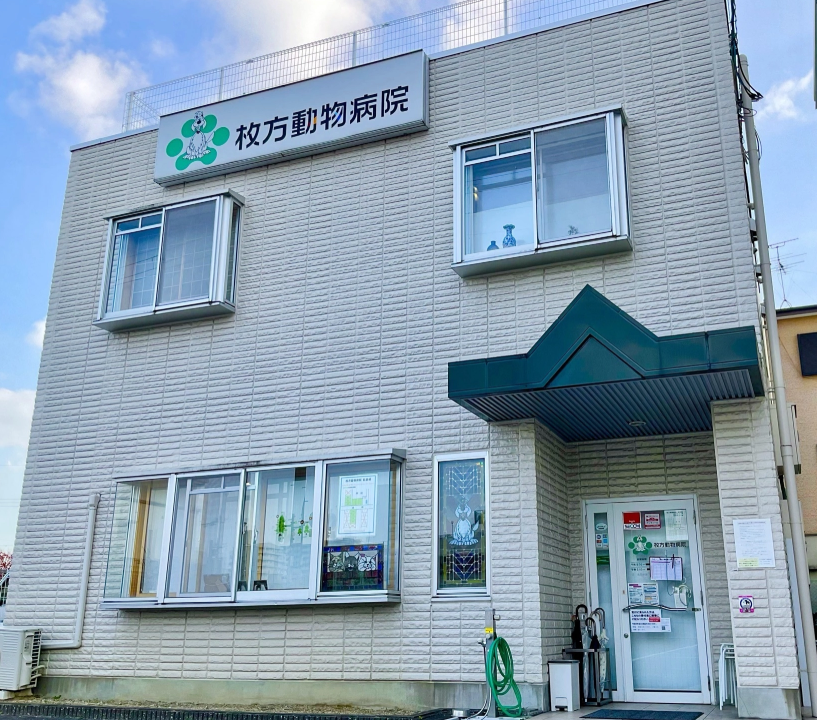 枚方動物病院 枚方動物病院