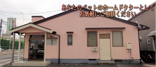 ハマサキ動物病院 ハマサキ動物病院