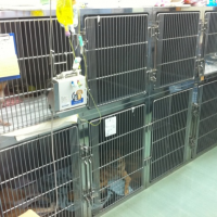 犬舎