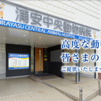 浦安中央動物病院