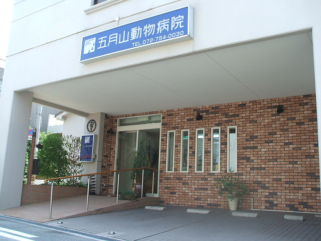 五月山動物病院 アイペット全国動物病院検索