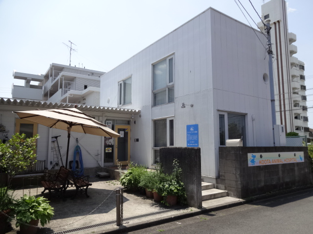 コータどうぶつ病院 アイペット全国動物病院検索