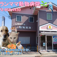 グランママ動物病院外観