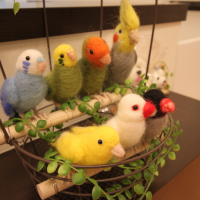 鳥の診察