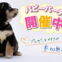 パピーパーティー開催中
