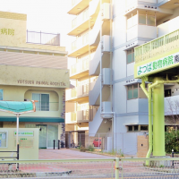 長居公園通沿い、千躰交差点を東へ350ｍ