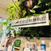 動物病院の内観