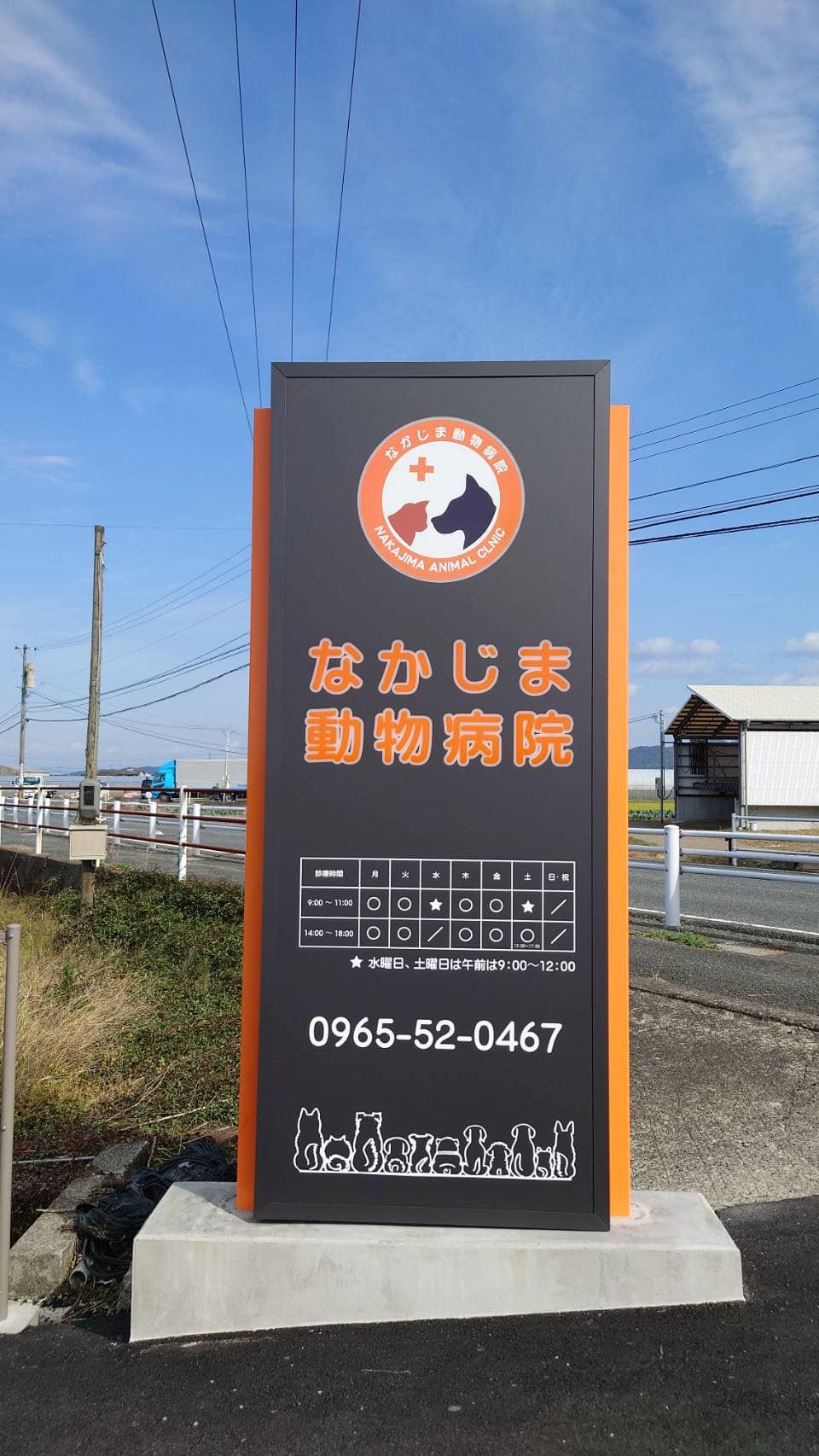 活動歴および当時の関連ビジュアル記録